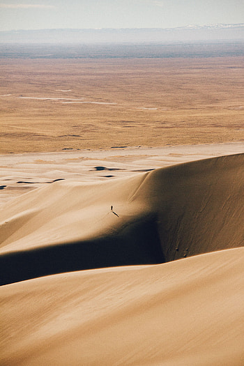 Nature, Desert, Silhouette, Relief, Dunes, Links HD phone wallpaper