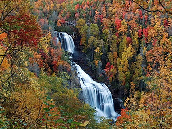 Falls, trees, autumn, water HD wallpaper
