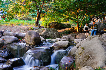 graphy, nature HD wallpaper