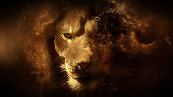 Bit by a Roaring Lion | More Than Useless Blog | Pinterest | 41 . HD wallpaper