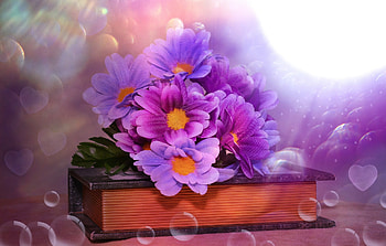 Artificial flowers, Flowers, Bubbles, Lights, Book HD wallpaper