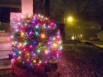 Christmas lights, lights, christmas, front door, bush, colourful, tree HD wallpaper