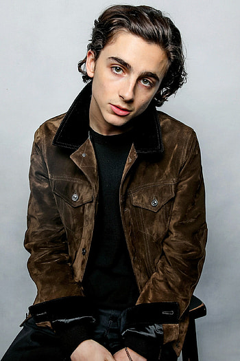 Timothee Chalamet, Artistic , Sunlit beauty, Charming actor HD phone wallpaper