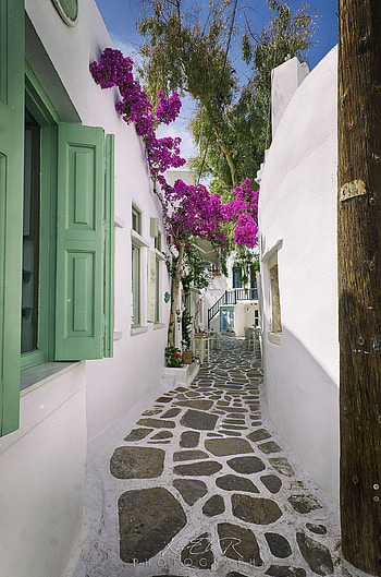 Cycladic alley Paros beautiful places travel HD phone wallpaper