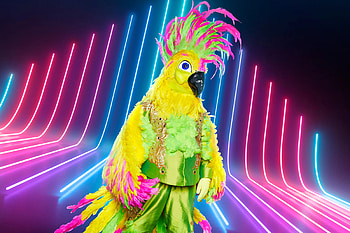 The Masked Singer, Enigmatic competition, Unmasking revelations, Pop culture HD wallpaper