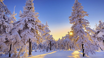 Full p Best Winter HD wallpaper