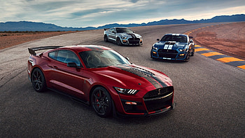 Ford Mustang Shelby, High-performance beast, Striking , Collector's choice HD wallpaper