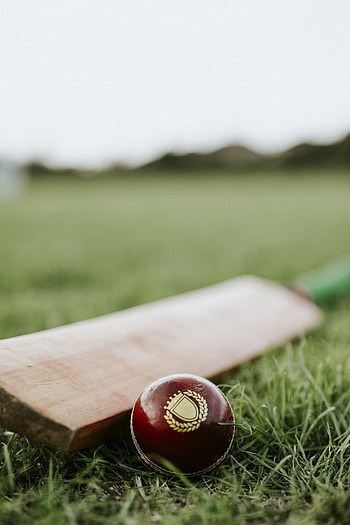 Cricket sports, Bat and ball, , Fancyodds HD phone wallpaper