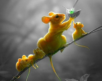 Four Yellow Mice, cute, mice, rodent, yelloww HD wallpaper