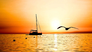 Nature, Sea, Bird, Flight, Outlines, Evening, Sailfish, Sailboat, Fishing, Buoys HD wallpaper
