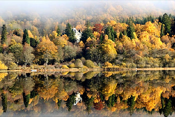 Trees Reflection, reflection, , trees, beautiful, lake HD wallpaper