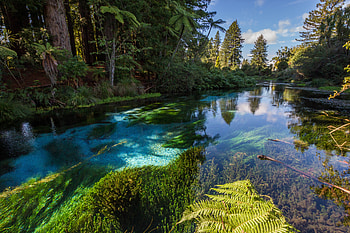 Nature, Water, Rivers, Trees, Bush HD wallpaper