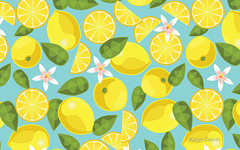 Plants, Fruits, Background, Lemons HD wallpaper