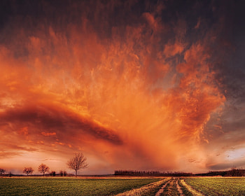 Red sky on the horizon, red sky, field, clouds, trees, road, beautiful, nature, dusk HD wallpaper