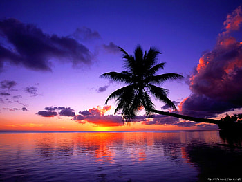 Colours of Nature, cool HD wallpaper