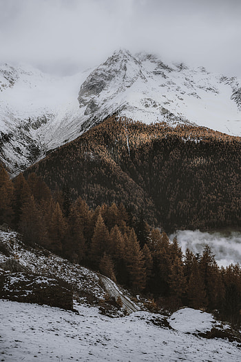 Winter, Nature, Snow, Mountain, Road, Forest HD phone wallpaper