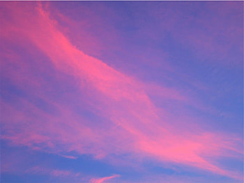 COTTON CANDY, sexy, scrat, ghost hunters HD wallpaper
