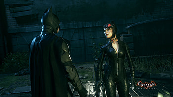 BAT CAT HD wallpaper