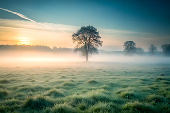 Mist-Covered Field with Softly Blending Grass and a Distant Emerging from the Haze, Evoking My, nature, calm, sunset, landscape HD wallpaper