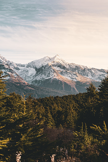 Landscape, Nature, Mountains, Vertex, Forest, Tops, Snow Covered, Snowbound HD phone wallpaper