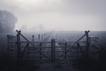 Nature, Grass, Road, Fog, Fence HD wallpaper