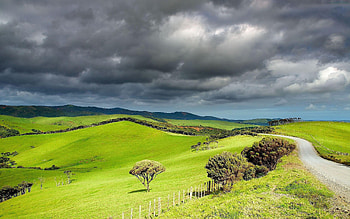 Hills grassland , Landscape better, Hills grassland nature HD wallpaper