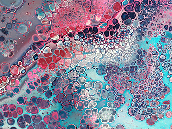 Modern art, cellular structure, colorful HD wallpaper