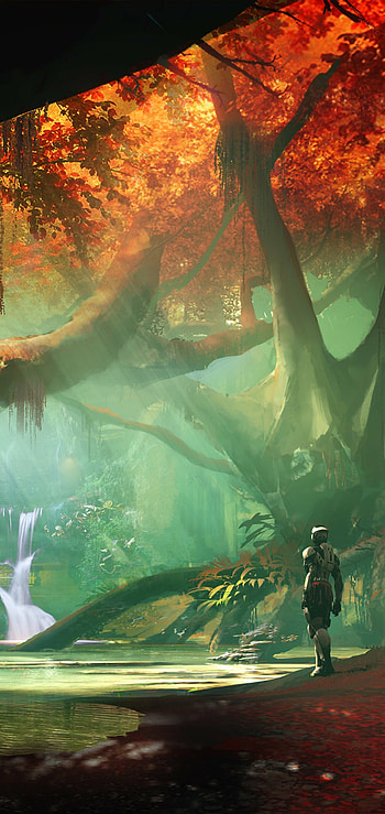 Action-packed gameplay, Immersive world, Destiny 2 adventure, Epic story HD phone wallpaper