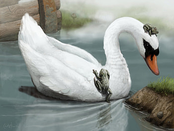 Animals, Birds, Swans HD wallpaper
