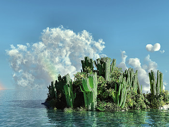 Nature, Cactuses, Sea, Island HD wallpaper