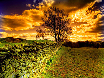 Stone wall in field at sunset, rays, glow, sunrise, fiery, fence, wall, sunset, sundown, meadow, beautiful, orange, tree, stones, summer, stone wall, field, light, clouds, nature, sky, fire HD wallpaper