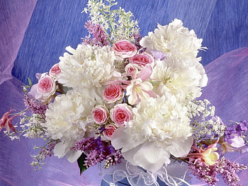 Spring song, pink, white, peonies, roses, flowers, beauty HD wallpaper