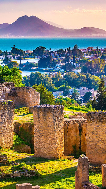 Tunisia, Ancient treasures, Carthage ruins, Historical heritage HD phone wallpaper