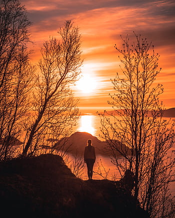 A stunning silhouette of a woman overlooking the sunset on the Troms coastline in Norway. HD phone wallpaper