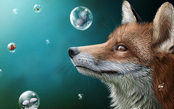 The fox, blue, animal, white, butterfly, ladybug, bubbles, fox HD wallpaper