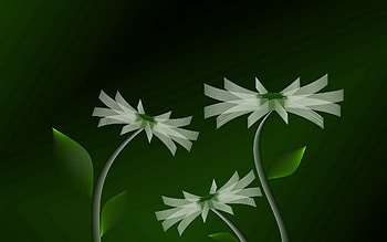 Abstract, Flowers, Lines, Stem, Stalk HD wallpaper