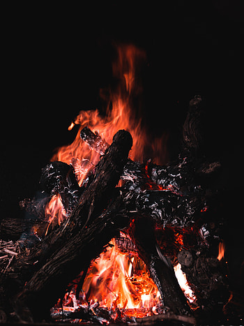 Fire, Bonfire, Coals, Dark, Firewood HD phone wallpaper