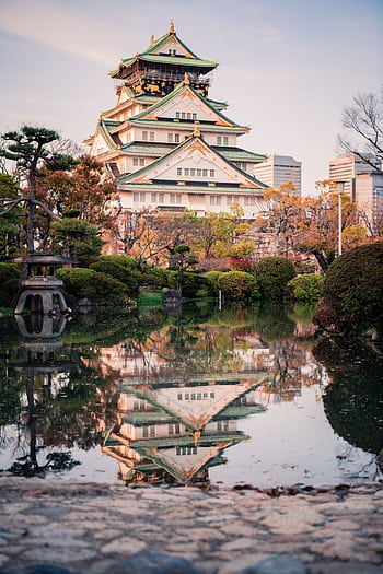 Scenic view of Osaka Castle reflected in a tranquil pond, surrounded by lush gardens at dusk. HD phone wallpaper