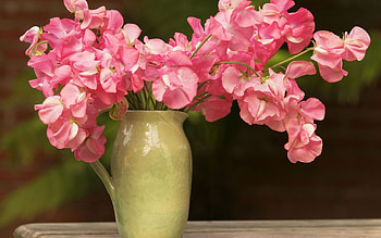 Home decorating summer flowers, still life, vase, pink, flower HD wallpaper
