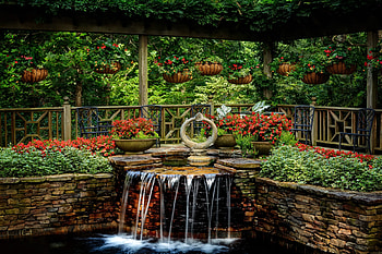 Garden cascades, garden, begonia, cascades, beautiful, flowers, arrangement HD wallpaper