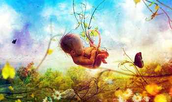 Fetus, nature, baby, dream, surreal, fantasy HD wallpaper