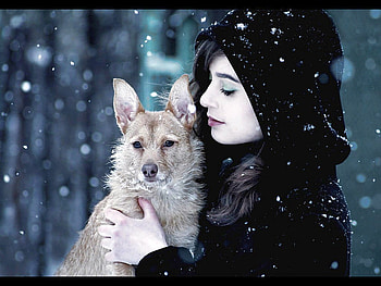 Girl w Dog, dog, girl, beautiful HD wallpaper
