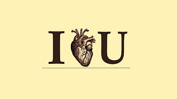 Love Anatomy, love, i-love-you HD wallpaper