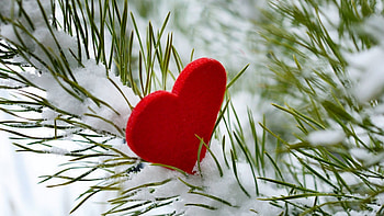 Winter , Heart, Winter, Snow, Trees HD wallpaper