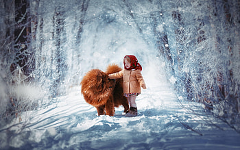 sweet, winter, dog, snowflake, snow, cute, beautiful, child HD wallpaper