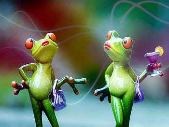 ℱroℊℊys Cocktaiℓ ℙarty , Cocktail, Party, Funny, Froggy, Frogs HD wallpaper