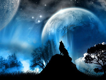 Animals, Landscape, Wolfs, Sky, Planets HD wallpaper