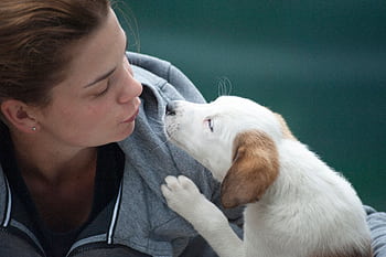 A candid shot of a woman and puppy sharing a tender moment outdoors. HD wallpaper