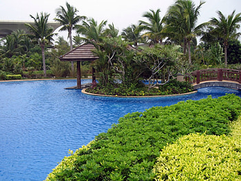 nice sea shore, trees, pool, nature, green HD wallpaper