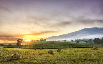 Nature, Trees, Mountains, Sun, Fog, Polyana, Glade, Hay, Serenity, Bales, August HD wallpaper